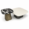 Coffee Table and Side Table Set