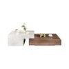 High-Low Coffee Table SetCJ02