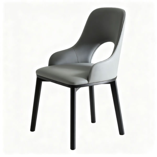 Series Modern Dining Chair