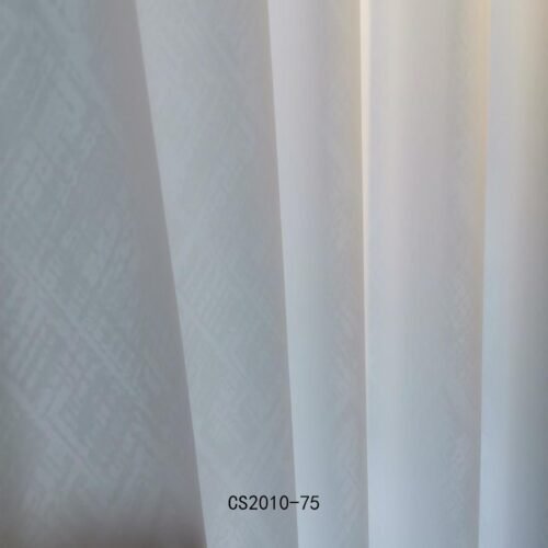 CS2010-75